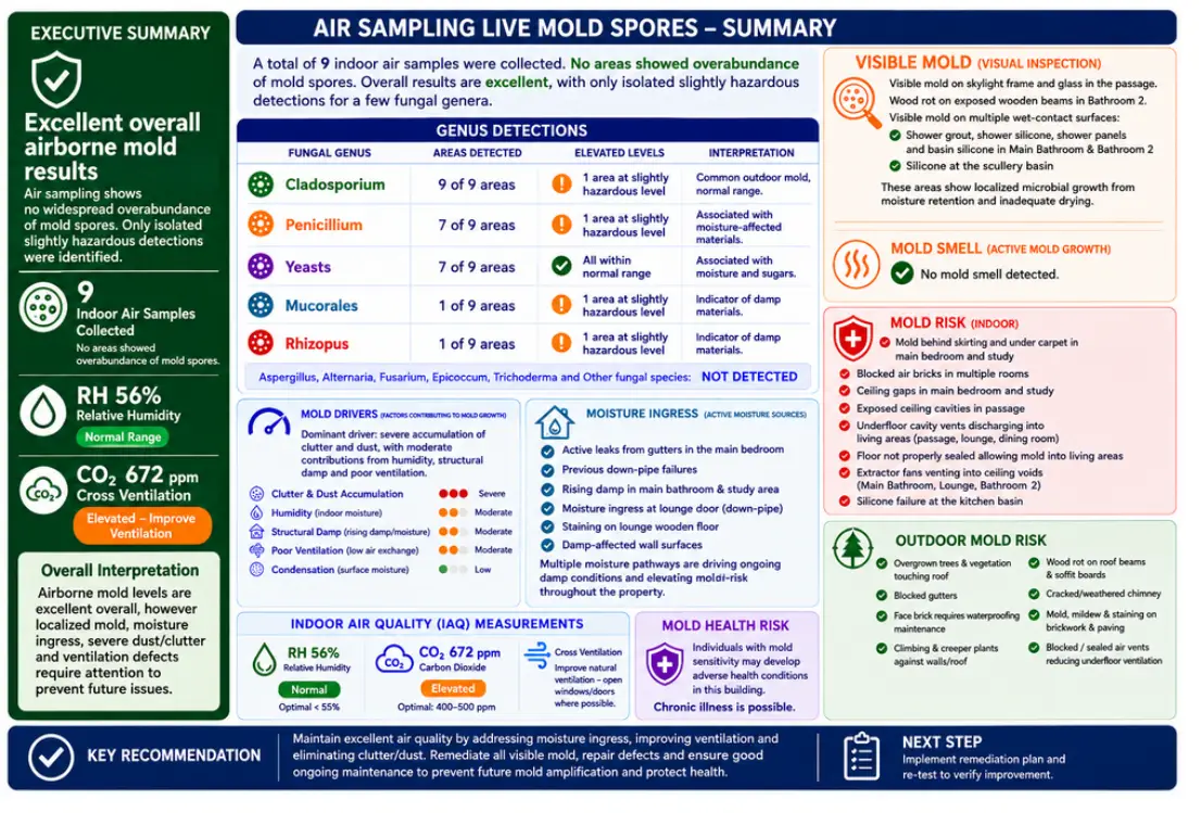 A real MDSA 60-Second Building Health Dashboard from a recent Johannesburg inspection — air sampling, visible mold, moisture drivers, IAQ readings and a clear next step on a single page
